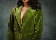 Ladies Velvet Suits